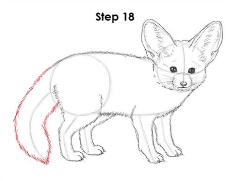 Bend the leg at the joints and add a few. How to Draw a Fennec Fox