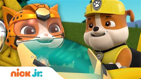 Paw Patrol And Cat Pack Rescue W Rubble And Wild Nick Jr Youtube