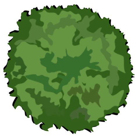 0 Result Images Of Tree Top View Png Vector Png Image Collection