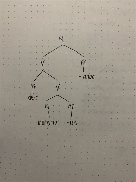 Solved How Do You Draw The Morphological Tree For The Word