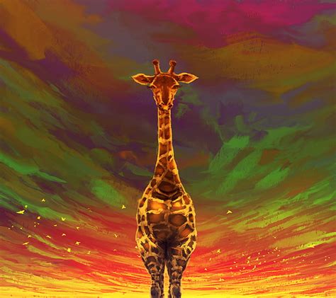 1920x1080px 1080p Free Download Giraffe Animal Cute Hd Wallpaper