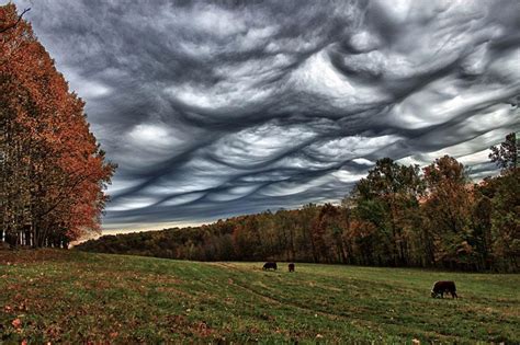 Beautiful Strange And Rare Cloud Formations Memolition