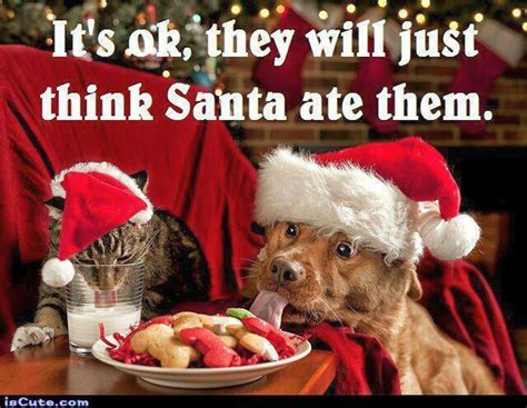 Santa S Treats Funny Christmas Pictures Christmas Jokes Christmas