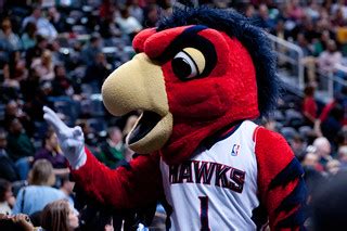 Atlanta hawks mascot harry the hawk was trying to do his job, and entertain some fans during tuesday's game 2 matchup against the boston celtics. Atlanta Hawks Mascot Harry | Atlanta Hawks Mascot Harry ...