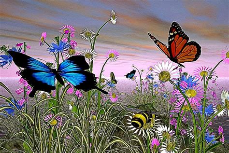 🔥 47 Animated Butterfly Wallpaper Wallpapersafari