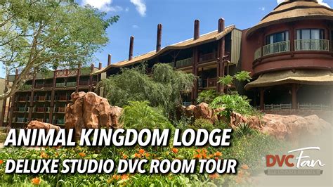Tour A Deluxe Studio Dvc Room At Disneys Animal Kingdom Lodge Jambo