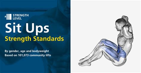 Sit Ups Standards For Men And Women Lb Strength Level