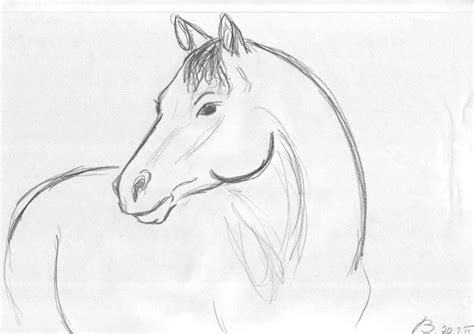 Horse Sketch By 0zafrina0 On Deviantart Horse Sketch Horse Drawings