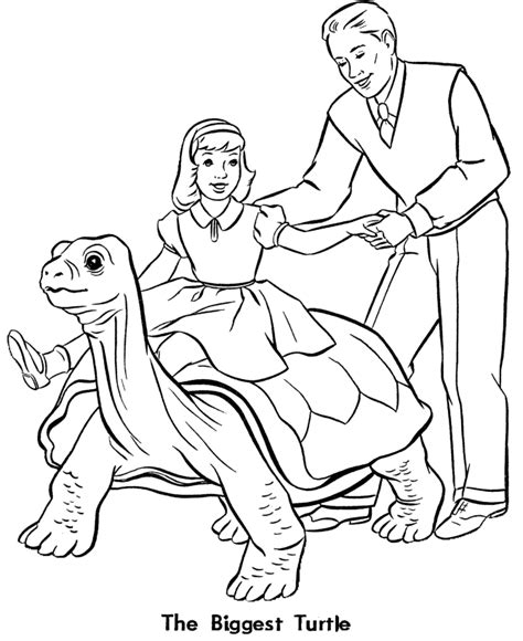 Zoo Pictures For Kids - Coloring Home