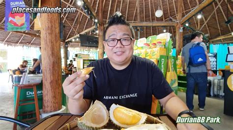 Black thorn vs mao shan wang vs green bamboo (tekka durian). Black Thorn Durian in Kuala Lumpur Malaysia - YouTube