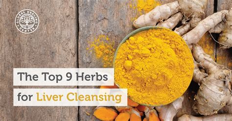 Liver Detox Top 9 Herbs For Liver Cleansing