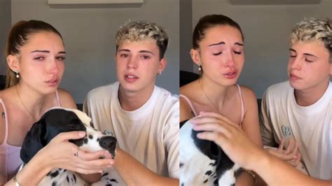 Emotivo Llamado De Influencers Para Tratar Enfermedad Rara De Su Perro ¡ayuda Urgente