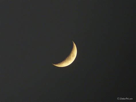 Aries taurus gemini cancer leo Leo Lunation Cycle, Crescent Phase: August 6 - 10 | Zodiac ...