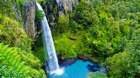 Hotels In Waikato District Neuseeland Find Waikato District Deals
