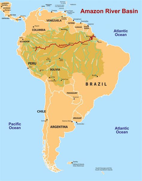 The Amazon River Basin Covers About Of South America And Is Home To