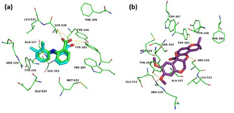 Using molecular docking software free download crack, warez, password, serial numbers, torrent, keygen, registration codes, key generators is illegal and your business could subject you to lawsuits and leave. (a) Comparison of the docking poses of co-crystal ligand ...