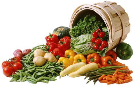 Cormack Enterprises Ltd Fresh Vegetables And Fruits