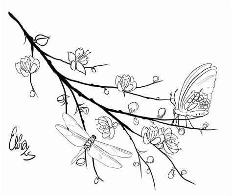 Butterflies In Tree Colouring Pages Clip Art Library