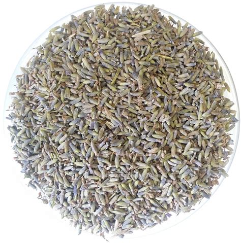 Maybe you would like to learn more about one of these? Buy Bulk Dried French Lavender Flowers UK | 500g