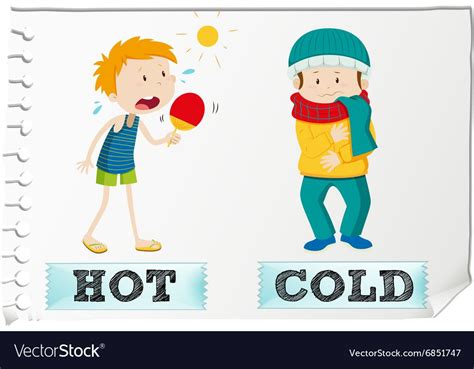Opposite Adjectives Hot And Cold Royalty Free Vector Image Toddler