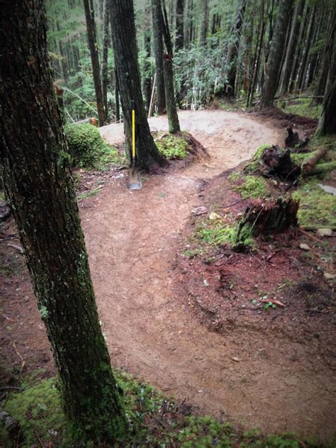 Half Day Squamish Mountain Bike Private Guided Tour By Ride Bc