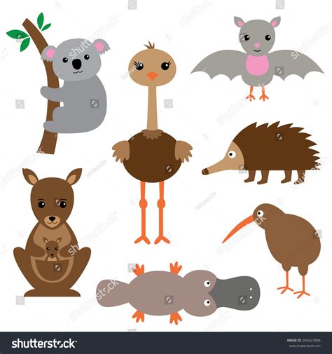 Australian animals vector set | Cute australian animals, Australian animals, Australia animals
