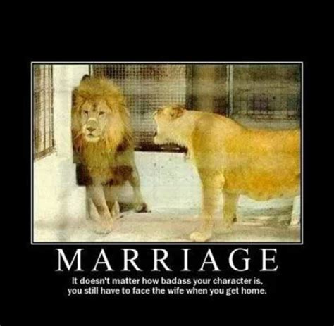13 Best Funny Marriage Pictures And Photos List Bark