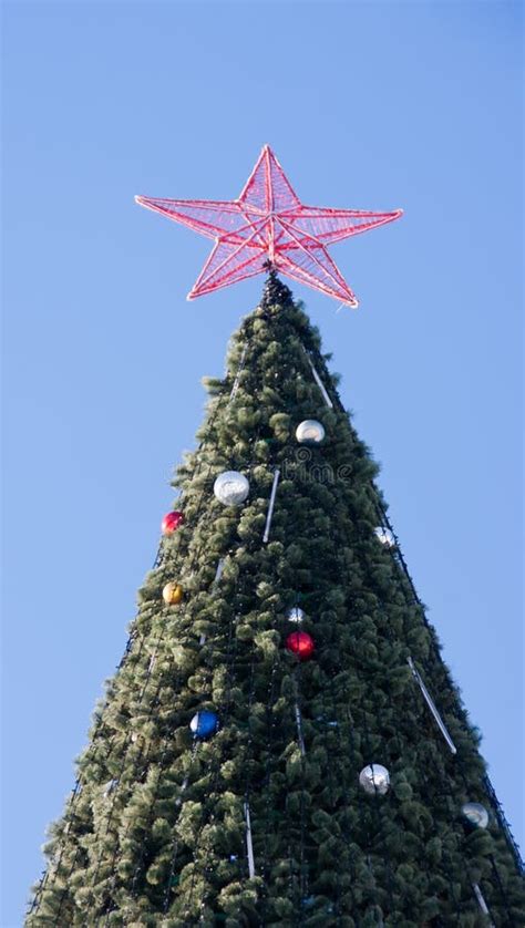 The Top Of A Christmas Tree Against The Sky Stock Photo Image Of