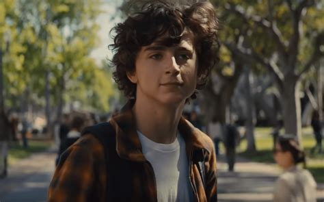 Beautiful boy is a movie starring steve carell, timothée chalamet, and maura tierney. Movie Review - Beautiful Boy (2018)