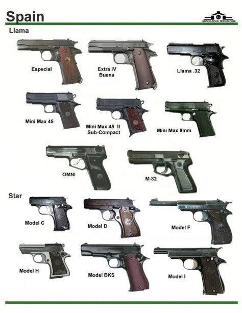 Diffrent Types Of Guns Alarmovasg