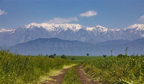 Snow Capped Mountains And Green Fields In Spring Stock Photo Image Of