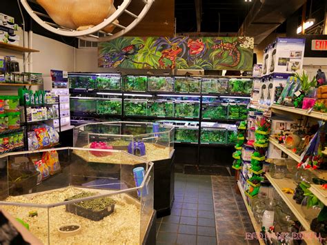 Fins and Feathers 7 of 27