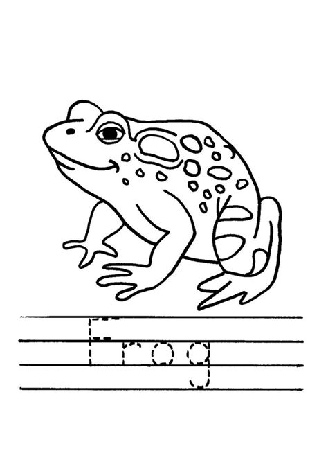 Zoo Guide Supplemental Color The Frog Kids Coloring Activity Kids