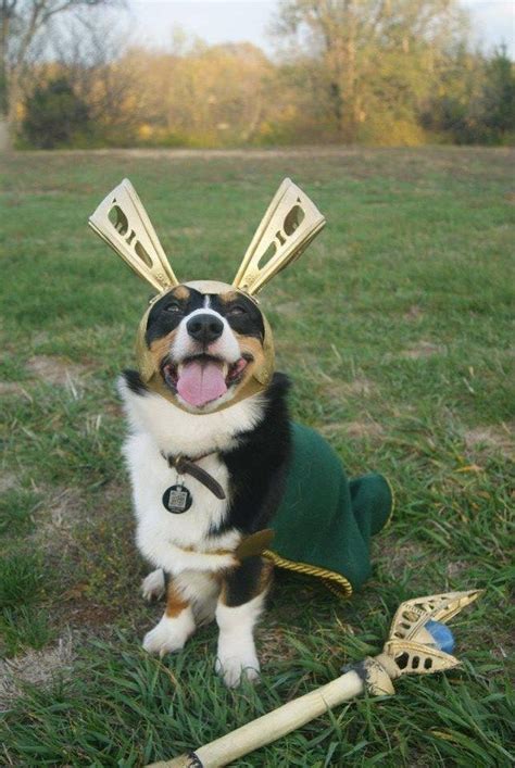Loki The Puppy Pet Costumes Dog Costumes Clever Halloween