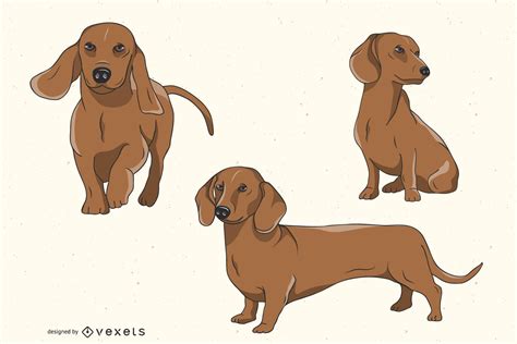 Dachshund Dog Illustration Set Vector Download