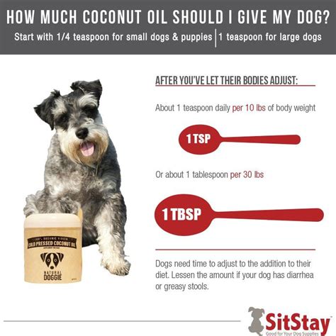 Coconut Oil For Dogs The Ultimate Guide 2020 Coconut Oil For Dogs