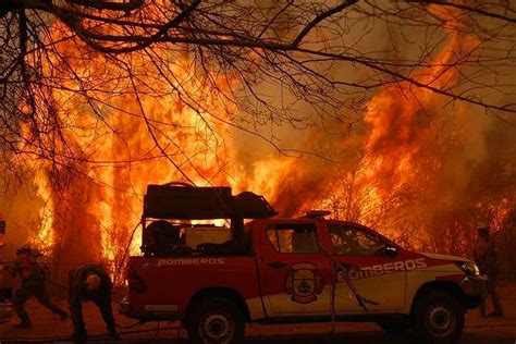Esta madrugada fueron enviadas las 12.582 dosis de los. Músicos reaccionan contra los incendios forestales en ...
