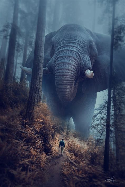 Big Elephant Effect Photo Manipulation Photoshop Tutorial Rafy A