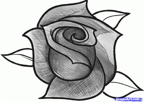 Vijmë tek ti mësues buzëqeshjen ta dhurojmë kënga krahët reh si flutur midis jush jam e lumtur. How to Sketch a Rose, Step by Step, Sketch, Drawing ...