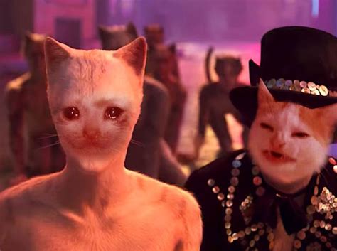 Sad Cats Cats 2019 Film Know Your Meme