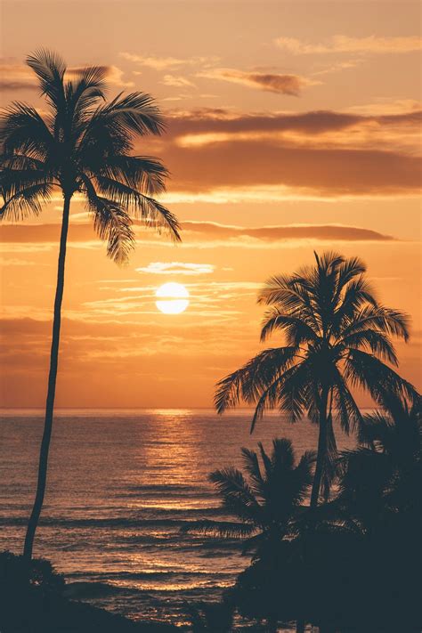 Sunrise In Kauai Natures Beauty Pinterest Sunset Hawaii And Palm