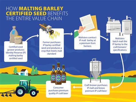 How Malting Barley Certified Seed Benefits The Entire Value Chain