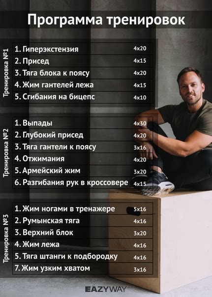 Программы для тренировок в тренажерном зале для начинающих: Программы ...