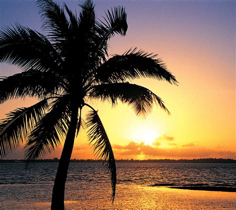 Orange Sunset On The Tropic Beach Background Beach Wallpapers