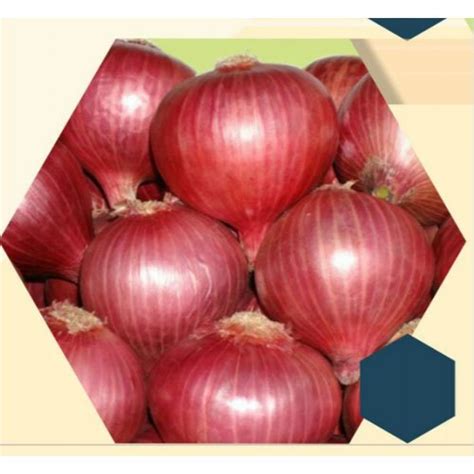 Innoveg Bombay Red Onion Seeds Packaging Type Packet Packaging Size