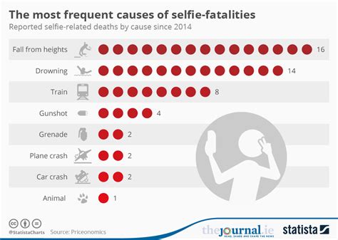 Chart The Most Frequent Causes Of Selfie Fatalities Statista