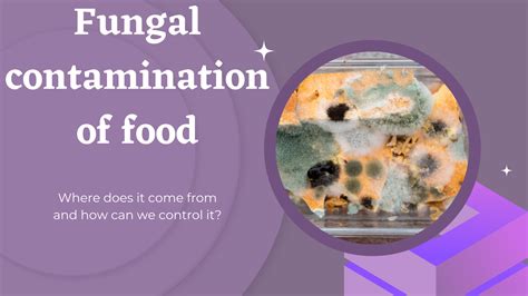 Fungal Contamination Of Food And How To Control It Food Microbiology