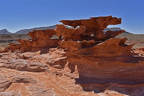 Little Finland Nv Gold Butte National Monument Fred Holley Flickr