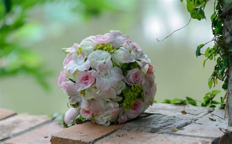 Download Wallpapers Wedding Bouquet Pink Roses Bride Bouquet