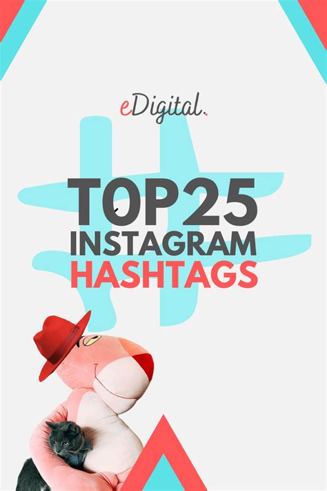 Los 25 Hashtags MÁs Populares De Instagram En 2023 Talestin
